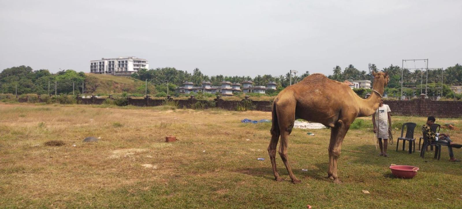 Bekal Town Bekal Fort Beach Resorts מראה חיצוני תמונה
