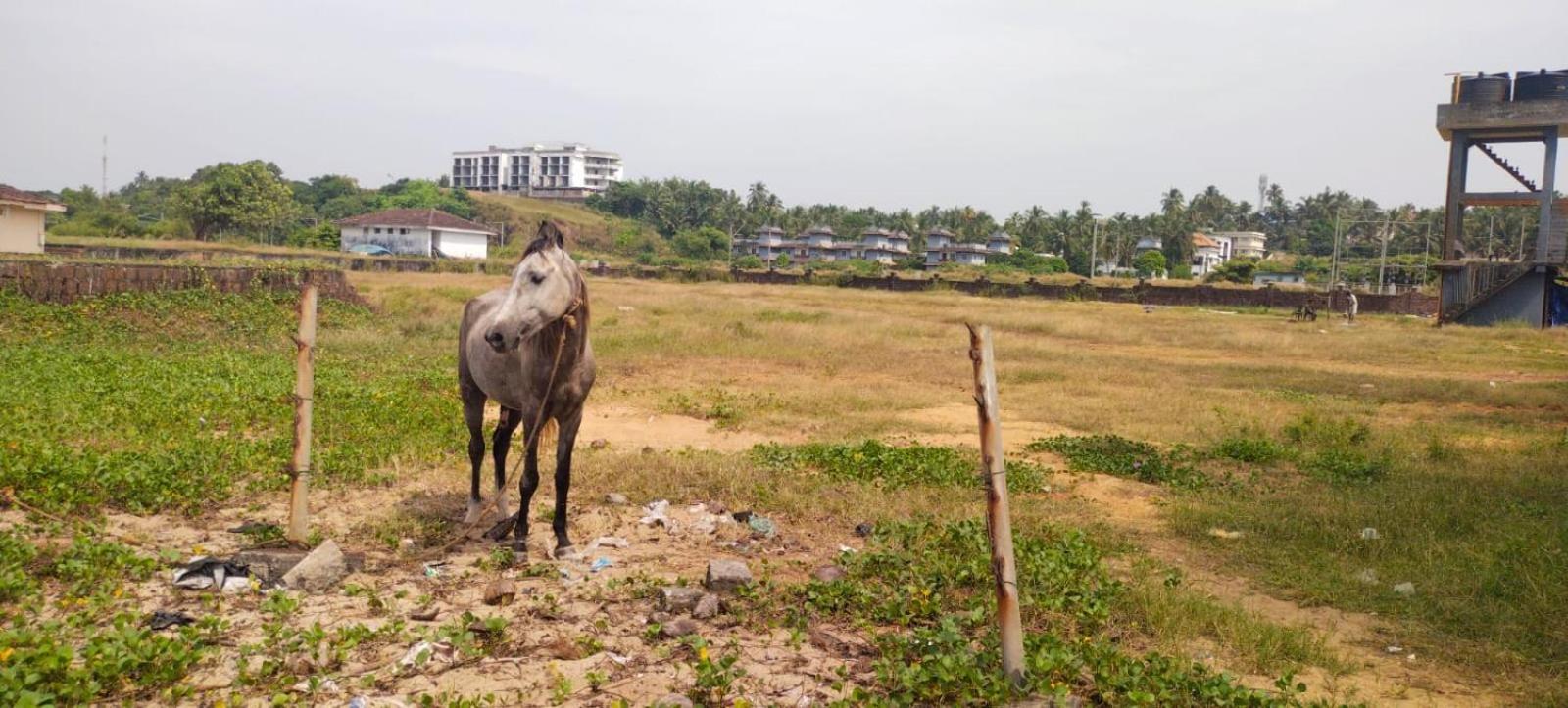 Bekal Town Bekal Fort Beach Resorts מראה חיצוני תמונה